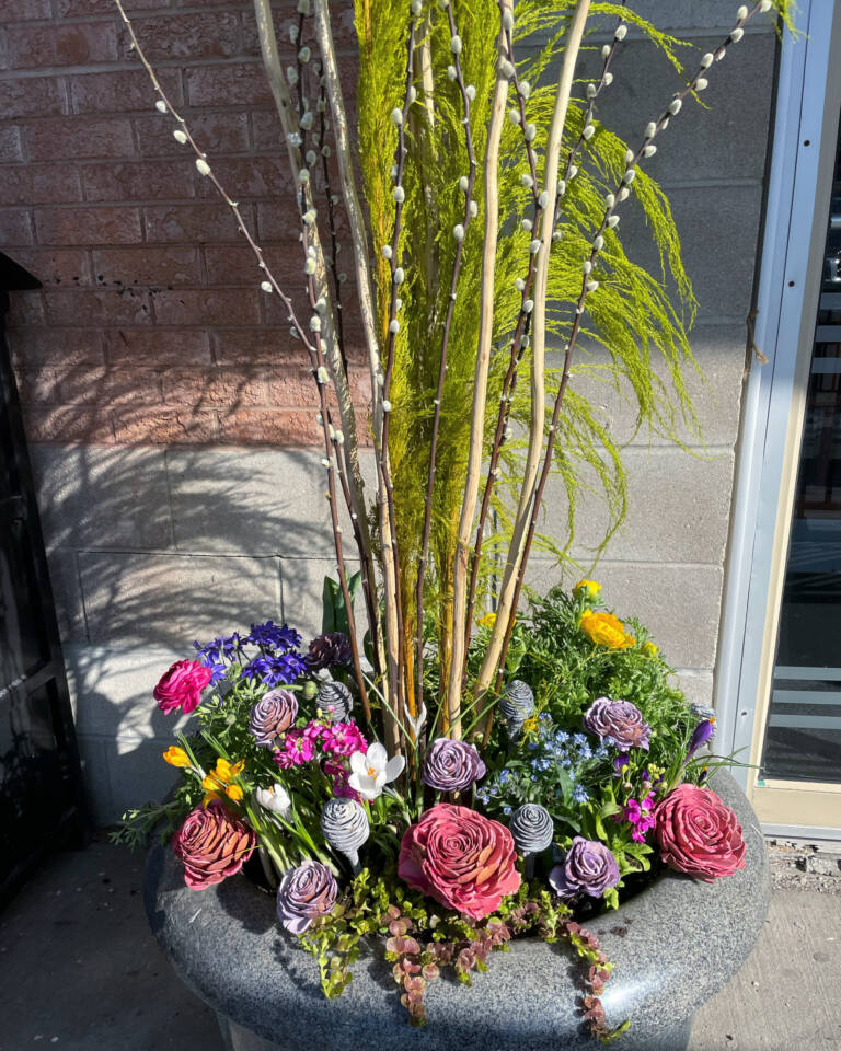 Spring planter with pussy willow, grasses and colourful ranunculus and roses