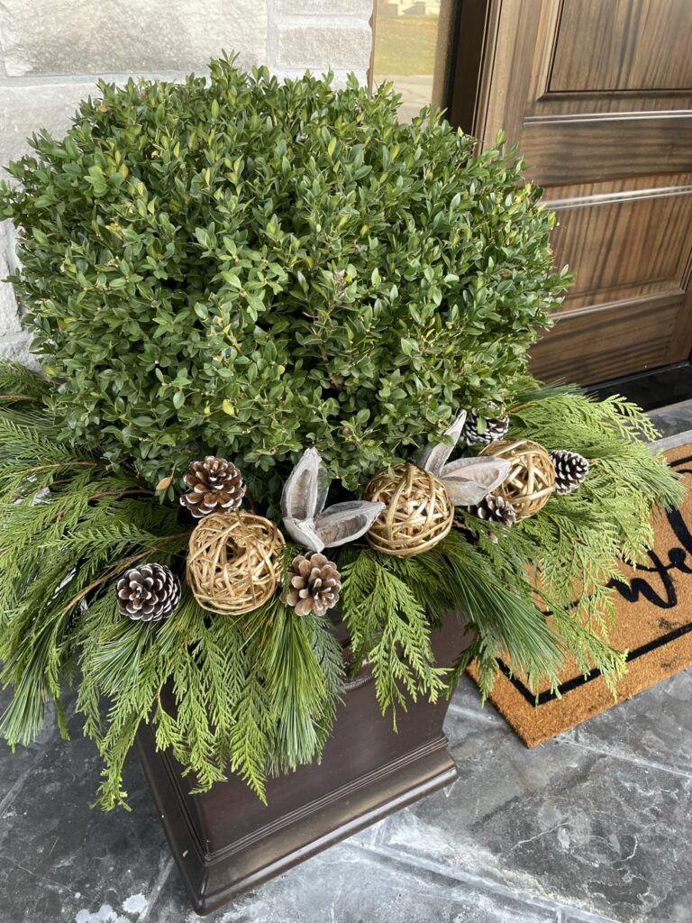 Close-up of cedar, boxwood and birch wood rounds layered in a winter planter
