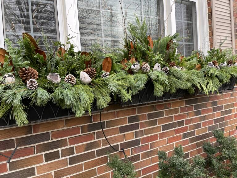 Long winter window box with cedar, magnolia leaves and pinecones on a brick wall