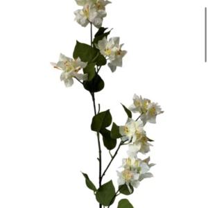 Bougainvillea Spray | Vivid Dried Floral Branch