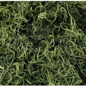 Spanish Moss (1Lbs)