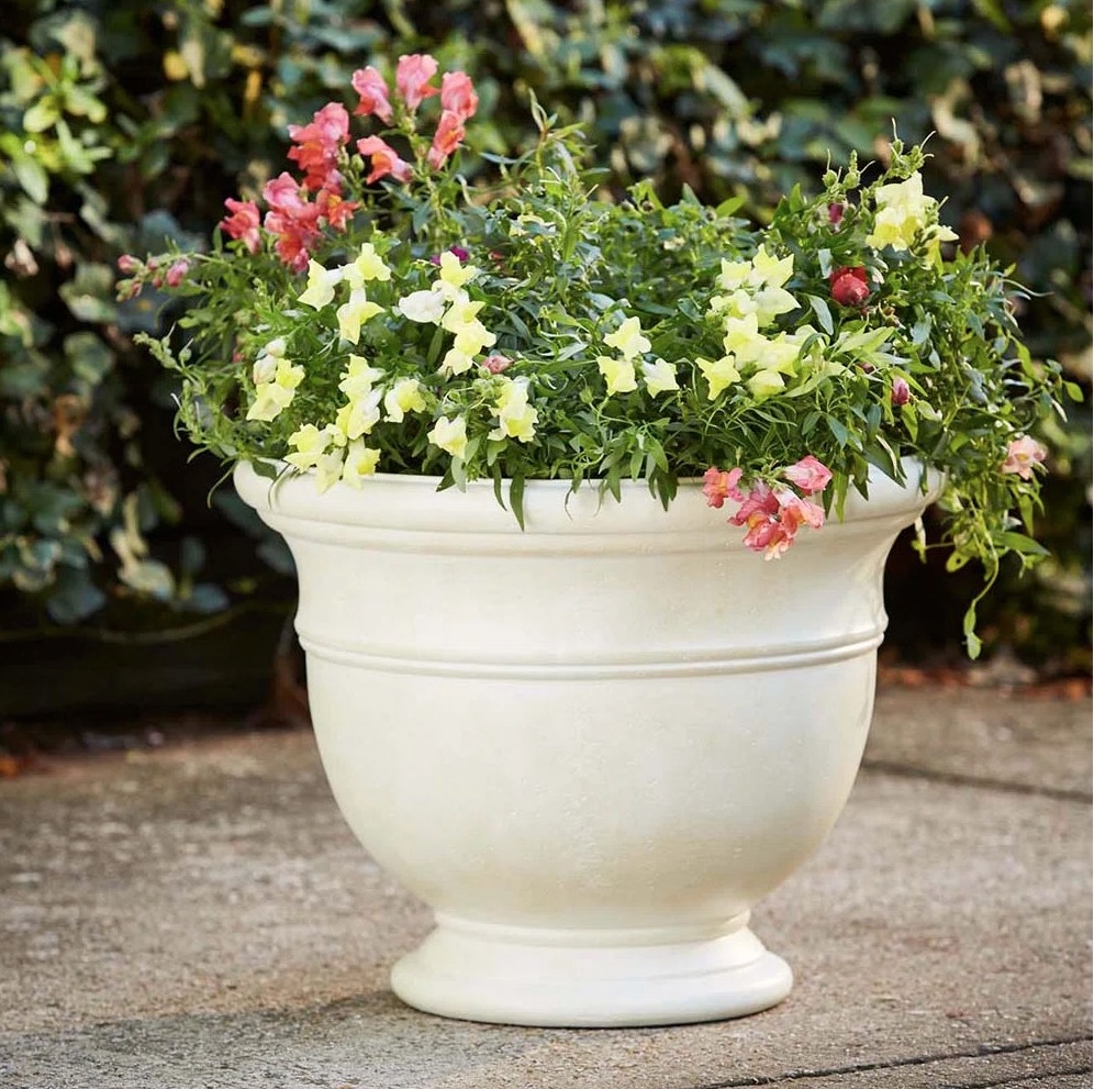 Compact planted container arranged as a single focal point at an entry