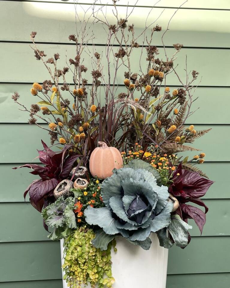 Fall planter with ornamental cabbage, dried branches and a pale pumpkin against a green wall