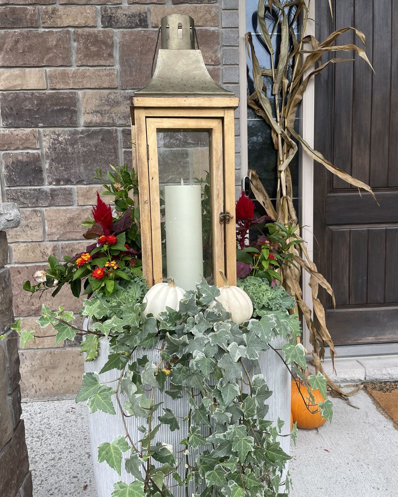Fall entry styled with a lantern, dried corn stalks, white pumpkins and trailing ivy