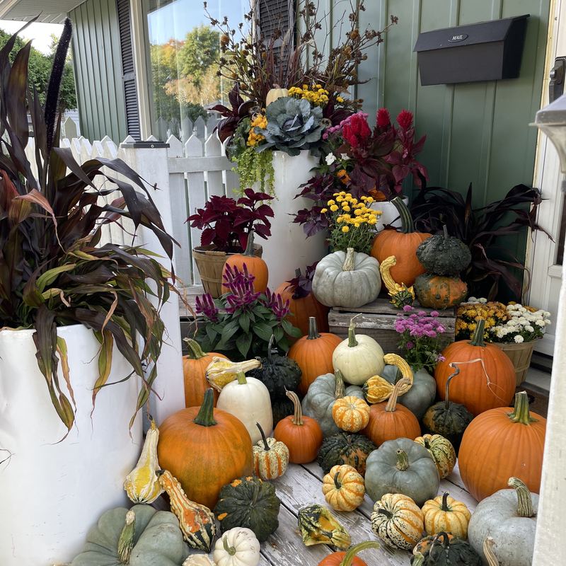 Stone porch steps lined with orange and pale green pumpkins beside a white urn planter