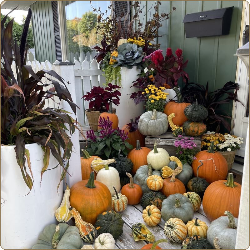 White urn planters flanked by orange and pale green pumpkins cascading down grey stone porch steps