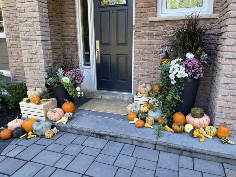 A tall autumn planter of grasses, mums and cabbage beside a black front door, with pumpkins and gourds massed along the step
