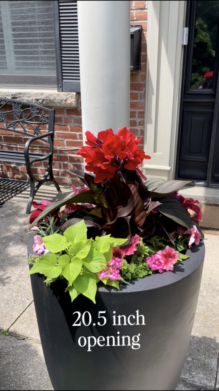 A full summer planter in a black container, labelled with its 20.5 inch opening