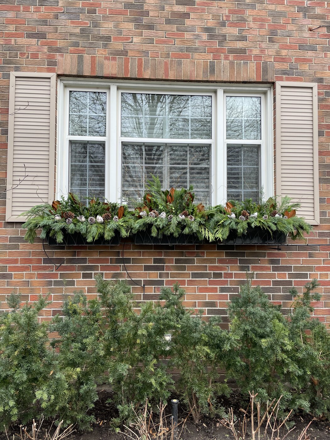 A long window box on red brick filled with cedar and mixed evergreen boughs