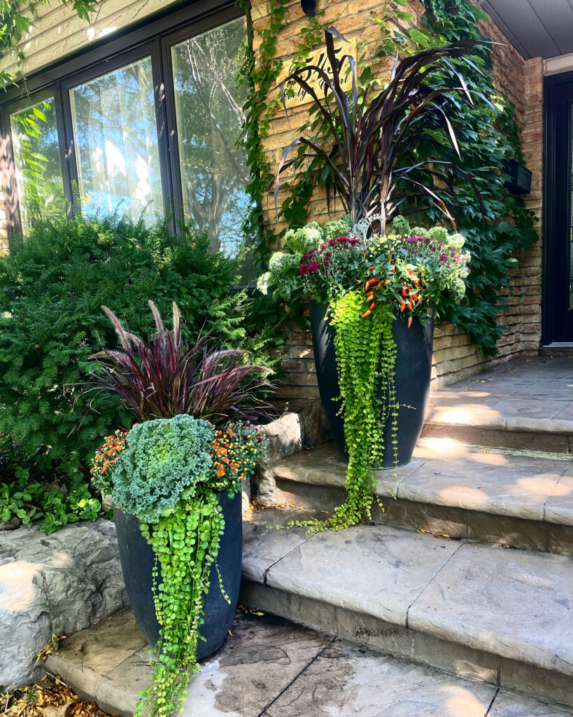 Two custom autumn planters with ornamental kale, grasses and trailing greenery beside a stone entrance