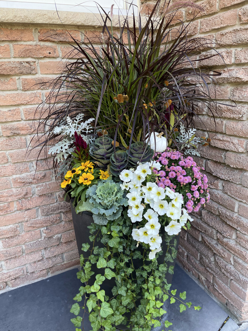 A tall planter at a brick corner with purple fountain grass, ornamental cabbage, mums and trailing ivy