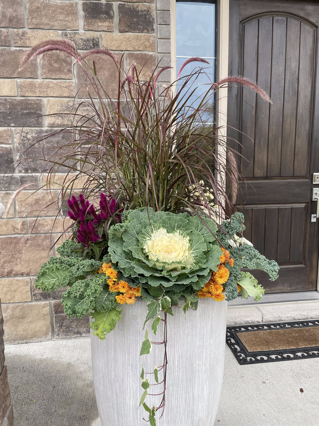 A cream tapered planter with ornamental cabbage, purple fountain grass and orange marigold beside a wood door
