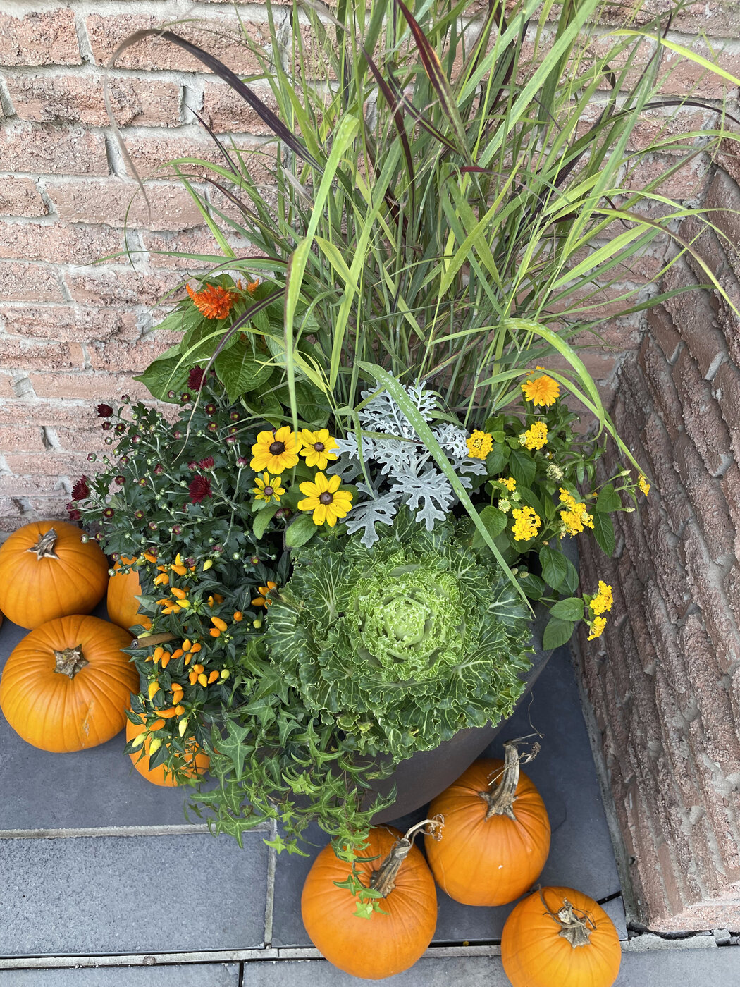 A dark planter against red brick with ornamental grass and kale, orange pumpkins grouped at its base